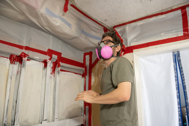 Best HVAC Mold Inspection and Cleaning  in Holley, FL