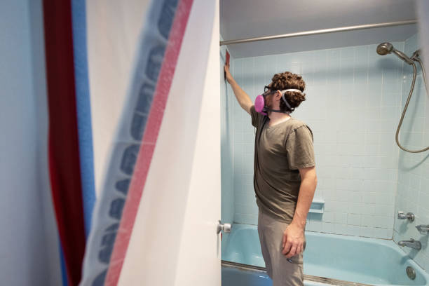 Best Attic Mold Removal  in Holley, FL