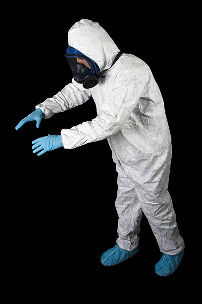 Mold Removal for HVAC Installations in Holley, FL